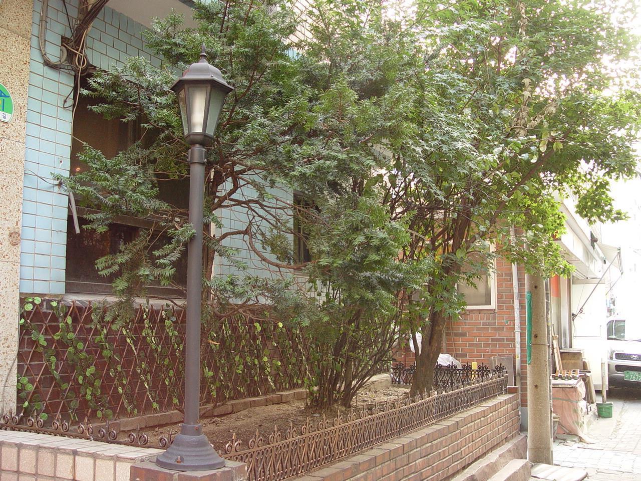 Saewha Hostel Seoul Exterior foto